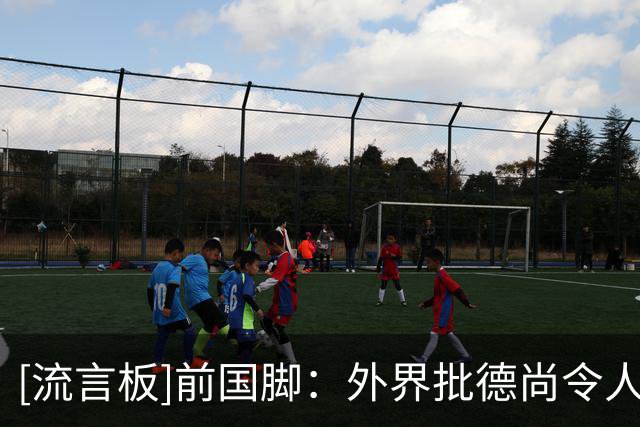 [流言板]前国脚：外界批德尚令人作呕，作为球员教练他都拿过世界杯